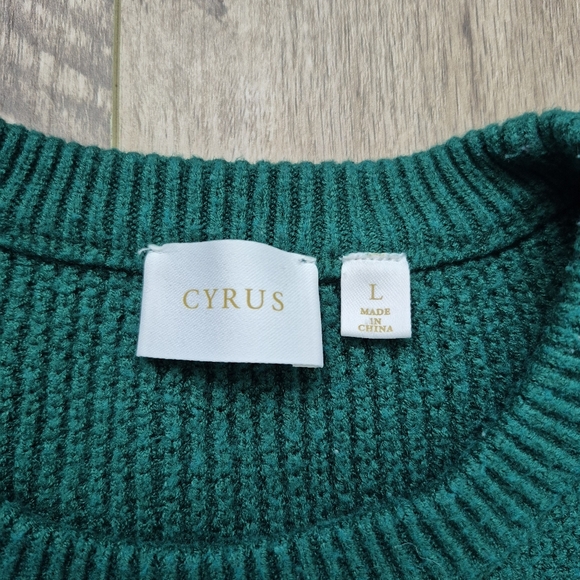 Cyrus Women's Cabincore Green Cable Knit Crewneck Sweater Size Large - Picture 4 of 5